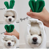 Cozy Fruit Hoodie for Dogs — Fleece Winter Sweater view 7