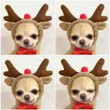 Cozy Fruit Hoodie for Dogs — Fleece Winter Sweater view 5